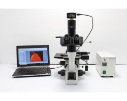 Olympus CK40 Inverted Fluorescence Phase Contrast Microscope Pred CKX53