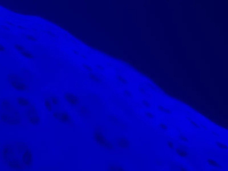 Nikon Eclipse Ti-U Inverted Fluorescence Phase Contrast Microscope (New Filters)