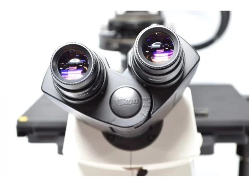 Nikon Eclipse Ti-U Inverted Fluorescence Phase Contrast Microscope (New Filters)