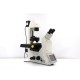 Leica DMi8 Inverted LED Fluorescence Phase Contrast Motorized Microscope (New Filters)