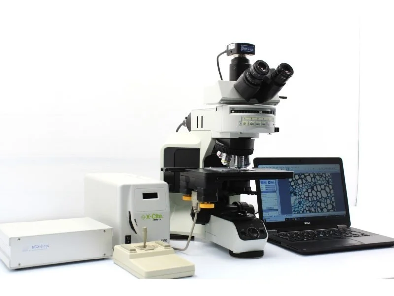 Olympus BX53 Fluorescence LED Motorized Microscope - AV