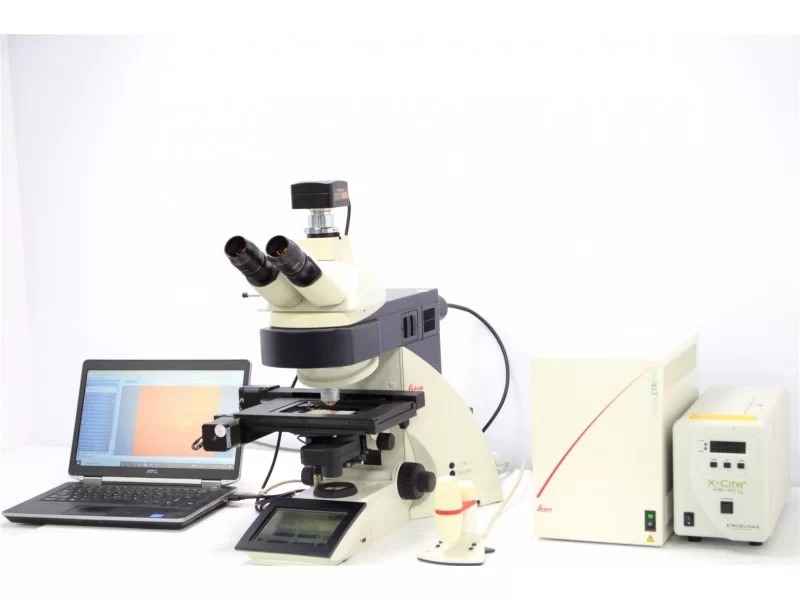 Leica DM6000 Upright Fluorescence Motorized Microscope with Motorized XY Stage