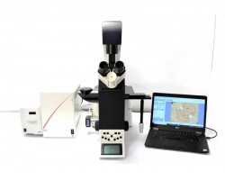 Leica DMi6000 Inverted Fluorescence Microscope