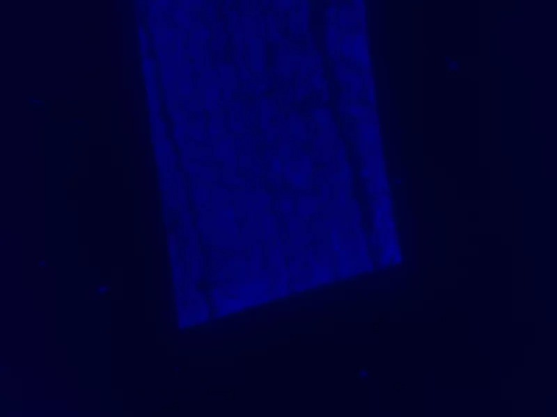 Nikon Eclipse 80i Upright Fluorescence Microscope (New Filters)