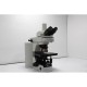 Nikon Eclipse 80i Upright Fluorescence Microscope (New Filters)