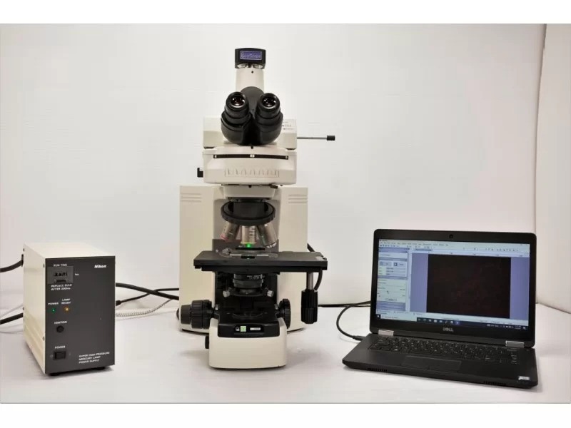 Nikon Eclipse 80i Upright Fluorescence Phase Contrast Microscope (New Filters)