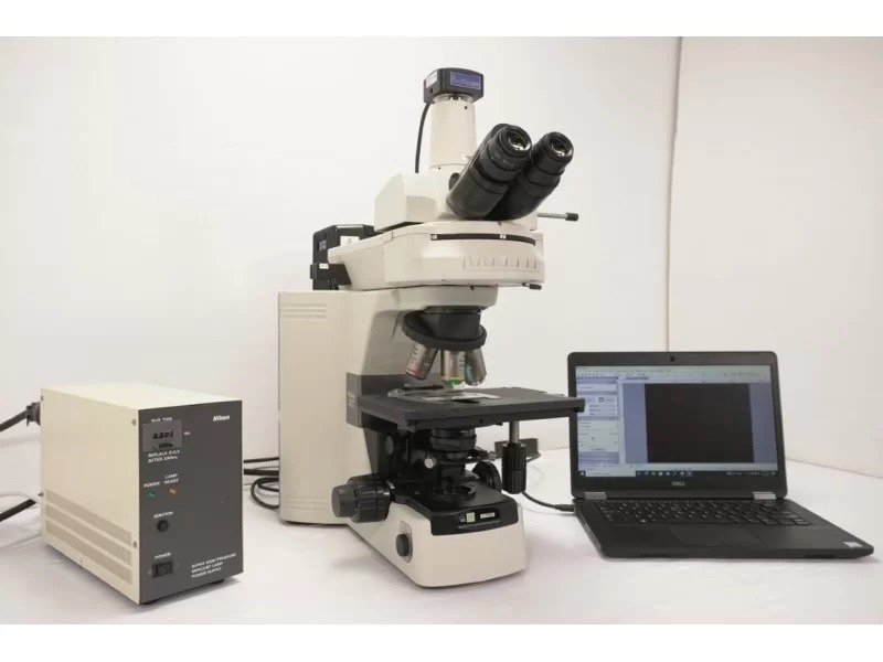 Nikon Eclipse 80i Upright Fluorescence Phase Contrast Microscope (New Filters)