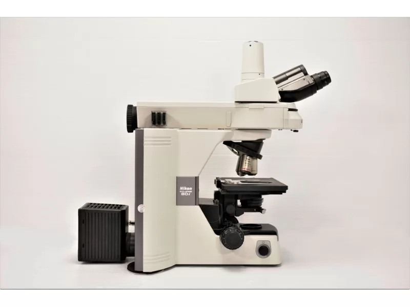 Nikon Eclipse 80i Upright Fluorescence Phase Contrast Microscope (New Filters)