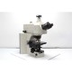 Nikon Eclipse 90i Upright Fluorescence Motorized XY Stage Microscope (New Filters) Pred Ni-E