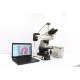 Nikon CI-L Upright Fluorescence Microscope (New Filters)