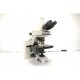 Nikon E600 Upright Fluorescence  Motorized Microscope (New Filters) Pred Ni-U