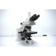 Nikon E600 Upright Fluorescence Phase Contrast Motorized Microscope (New Filters) Pred Ni-U