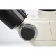 Nikon Eclipse TS100 Inverted Brightfield Microscope Pred TS2