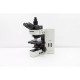 Olympus BX60 Fluorescence Microscope (New Filters)
