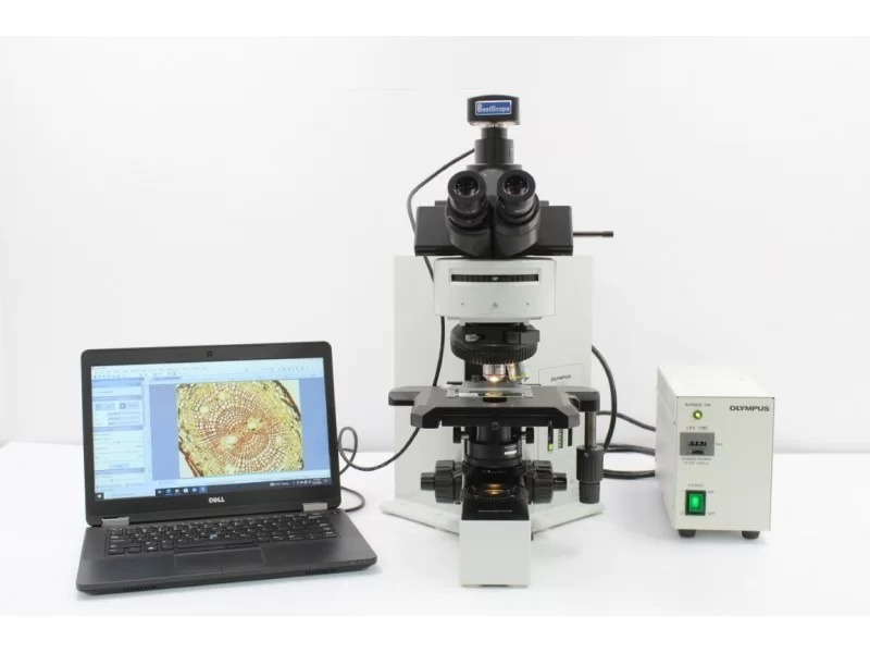 Olympus BX60 Fluorescence Microscope (New Filters) Pred BX53