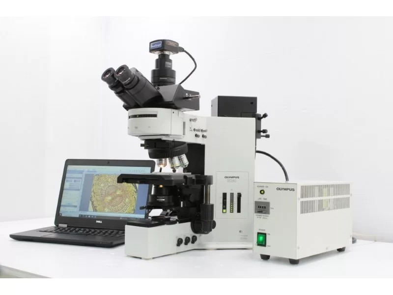 Olympus BX60 Fluorescence Microscope (New Filters) Pred BX53