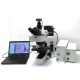 Olympus BX61 Upright Fluorescence Motorized Microscope (New Filters) Pred BX63