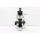 Olympus BX61 Upright Fluorescence Metal Halide Motorized XY Microscope (New Filters) Pred BX63