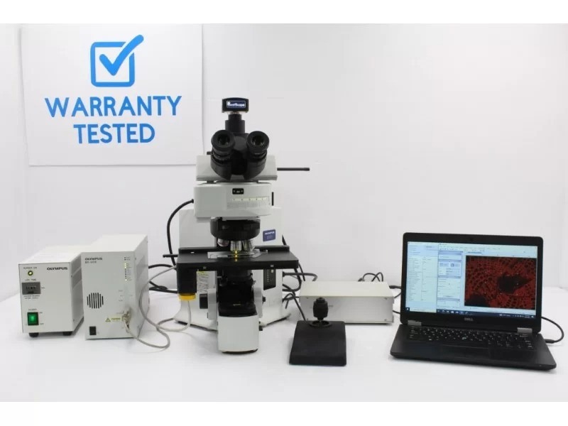 Olympus BX61 Fluorescence Microscope with Motorized XY Stage (New Filters) Pred BX63