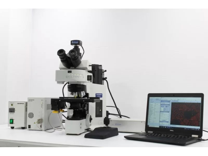 Olympus BX61 Fluorescence Microscope with Motorized XY Stage (New Filters) Pred BX63
