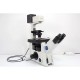 Olympus IX81 Inverted Fluorescence Motorized XY Microscope (New Filters) Pred IXplore