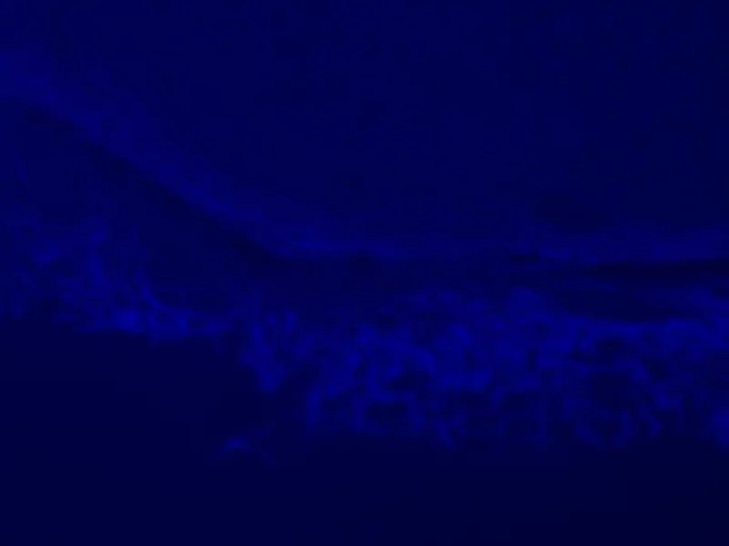 Zeiss Axiovert 200m Inverted Fluorescence Phase Contrast Microscope (New Filters)