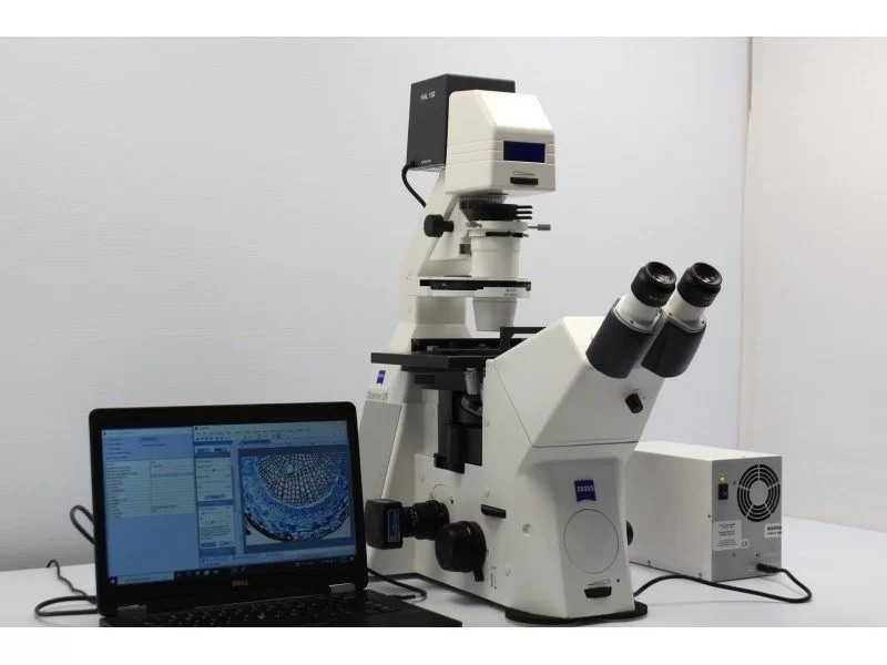 Zeiss Observer D1 Inverted LED Fluorescence Microscope (New Filters)