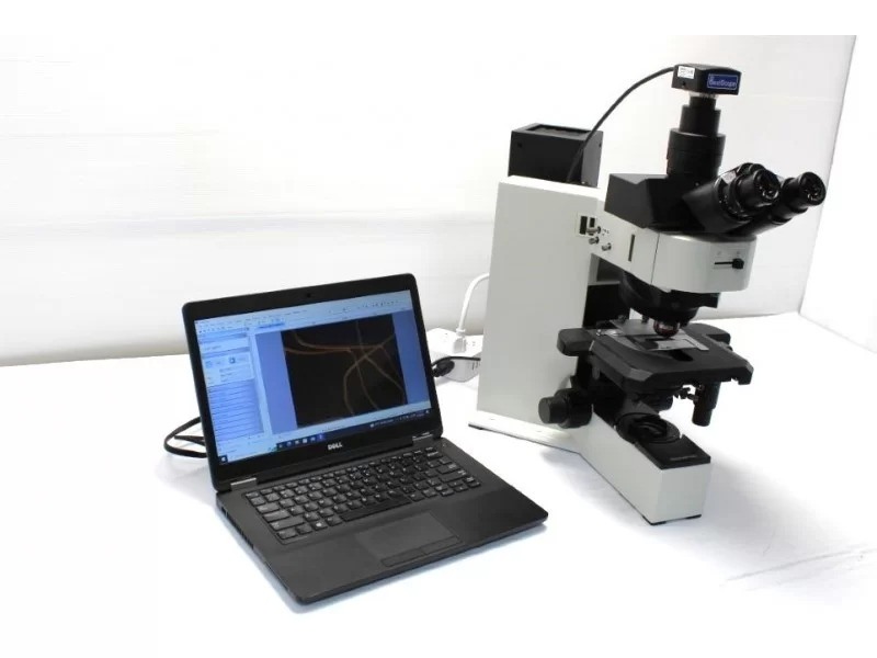 Olympus BX60 Brightfield/Darkfield Microscope Pred BX53