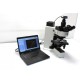 Olympus BX60 Upright Brightfield/Darkfield Microscope Pred/BX53