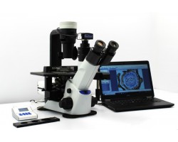 Olympus CKX53 LED Phase Contrast Fluorescence Inverted Microscope (New Filters) SOLDOUT