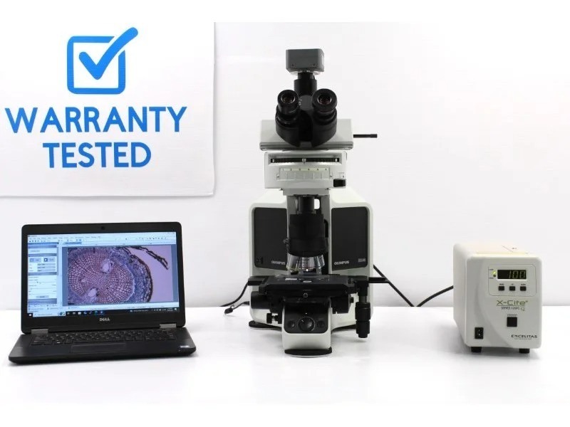 Olympus BX46F Upright Fluorescence Microscope (New Filters)