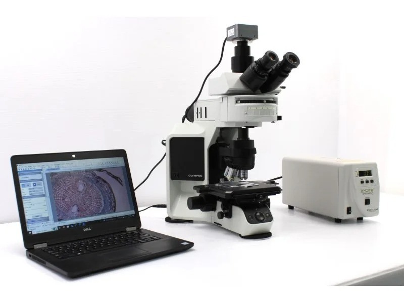 Olympus BX46F Upright Fluorescence Microscope (New Filters)