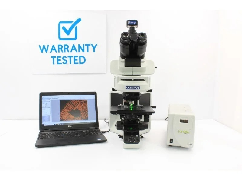 Olympus BX53 Upright Fluorescence Microscope w/ (New Filters)