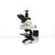 Olympus BX53 Upright Fluorescence Microscope w/ (New Filters)