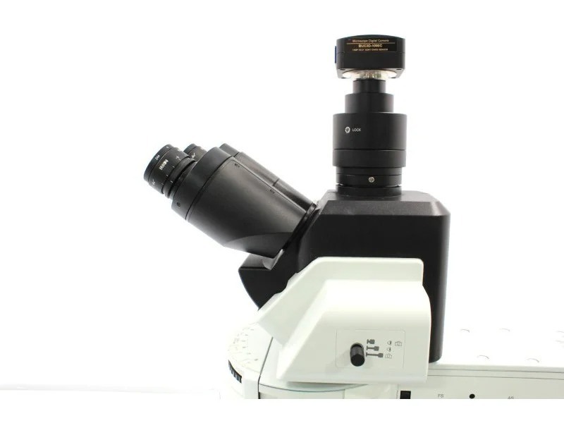 Olympus BX53 Upright Fluorescence Microscope w/ (New Filters)