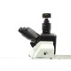 Olympus BX53 Upright Fluorescence Microscope w/ (New Filters)