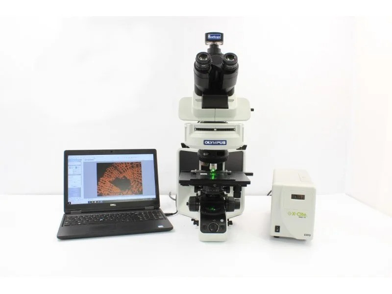 Olympus BX53 Upright Fluorescence Microscope w/ (New Filters)