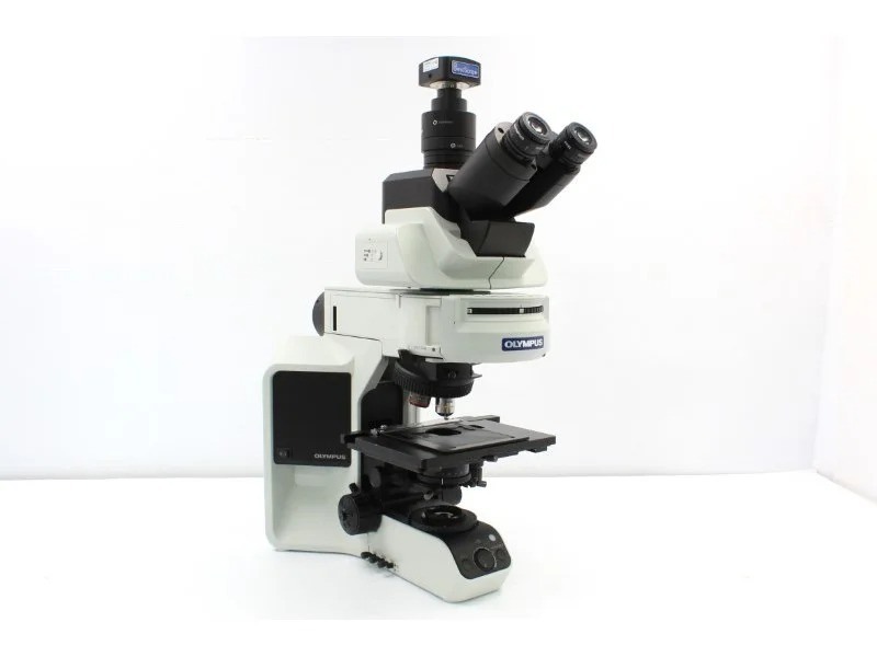 Olympus BX53 Upright Fluorescence Microscope w/ (New Filters)
