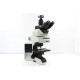 Olympus BX53 Upright Fluorescence Microscope w/ (New Filters)