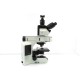 Olympus BX53 Upright Fluorescence Microscope w/ (New Filters)