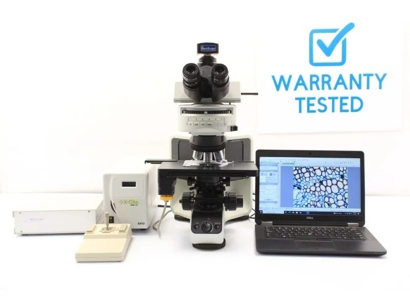Olympus BX53 Fluorescence Motorized XY Microscope w/ (New Filters)