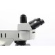 Olympus BX53 Fluorescence Motorized XY Microscope w/ (New Filters)