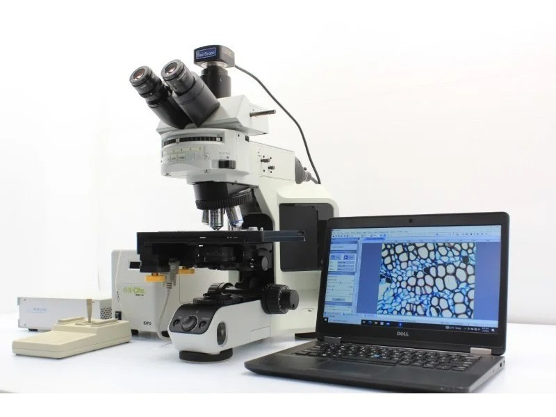 Olympus BX53 Fluorescence Motorized XY Microscope w/ (New Filters)