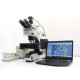 Olympus BX53 Fluorescence Motorized XY Microscope w/ (New Filters)