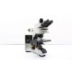 Olympus BX53 Fluorescence Motorized XY Microscope w/ (New Filters)