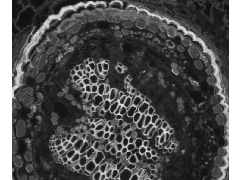 Zeiss Axiocam 705 Mono CMOS Microscope Camera