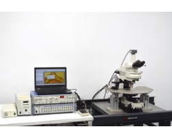 Nikon FN1 Fluorescence Water Immersion Capable Microscope w/ Sutter Fixed Stage suitable for Electrophysiology Rig