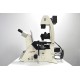 Leica DMi8 Inverted LED Fluorescence Motorized Microscope (New Filters)