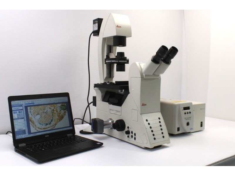 Leica DMi8 Inverted LED Fluorescence Encoded Microscope (New Filters)