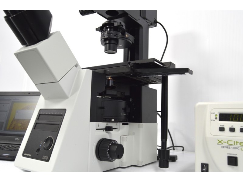 Olympus IX73 Fluorescence Inverted Microscope (New Filters)